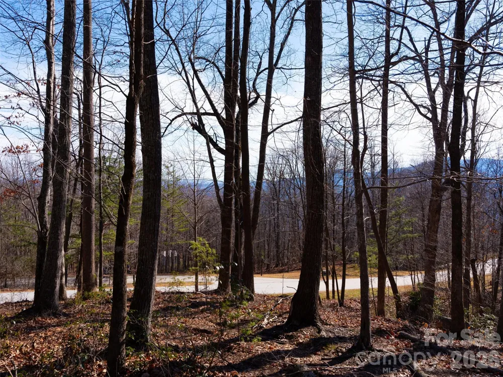220 Chesterfield Drive Mill Spring, NC 28756