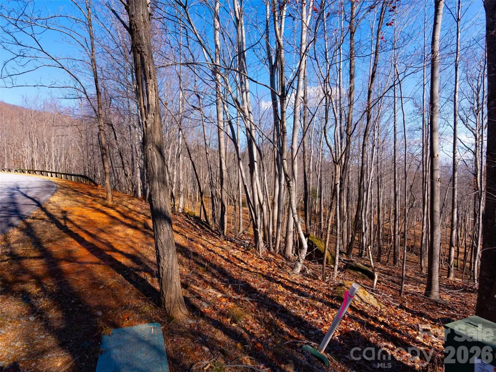220 Chesterfield Drive Mill Spring, NC 28756