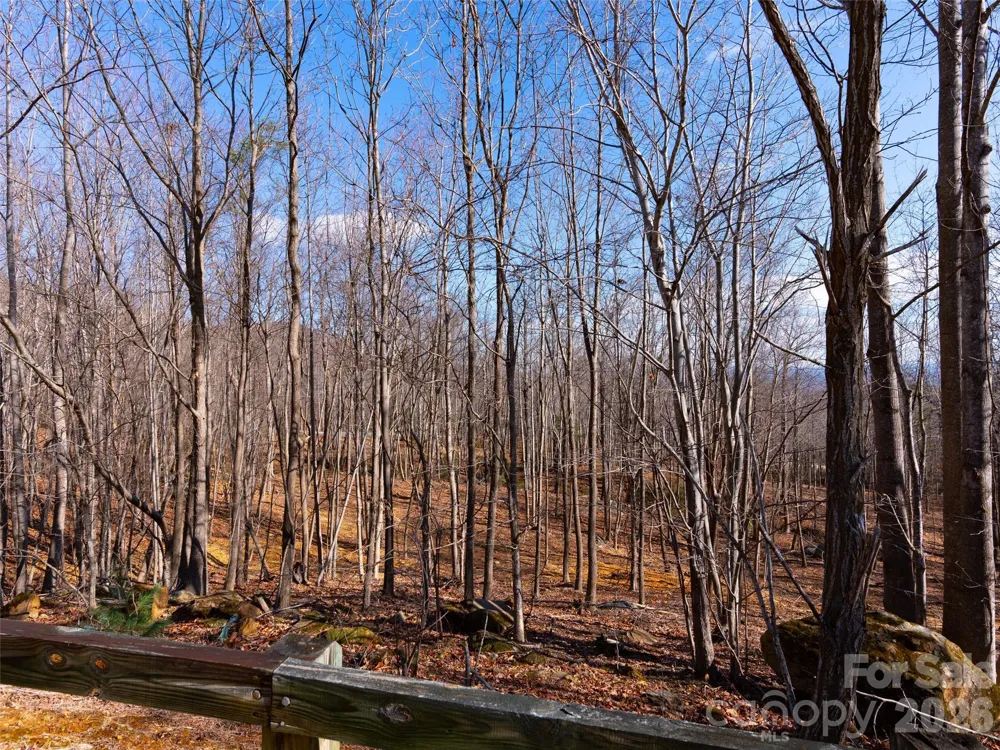 220 Chesterfield Drive Mill Spring, NC 28756