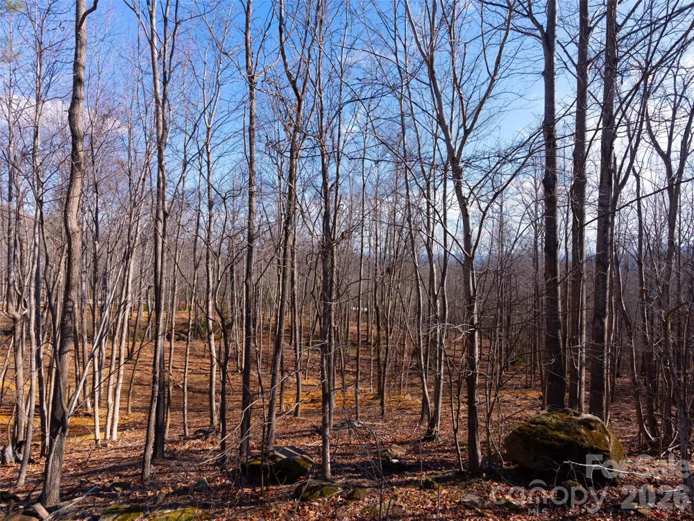 220 Chesterfield Drive Mill Spring, NC 28756