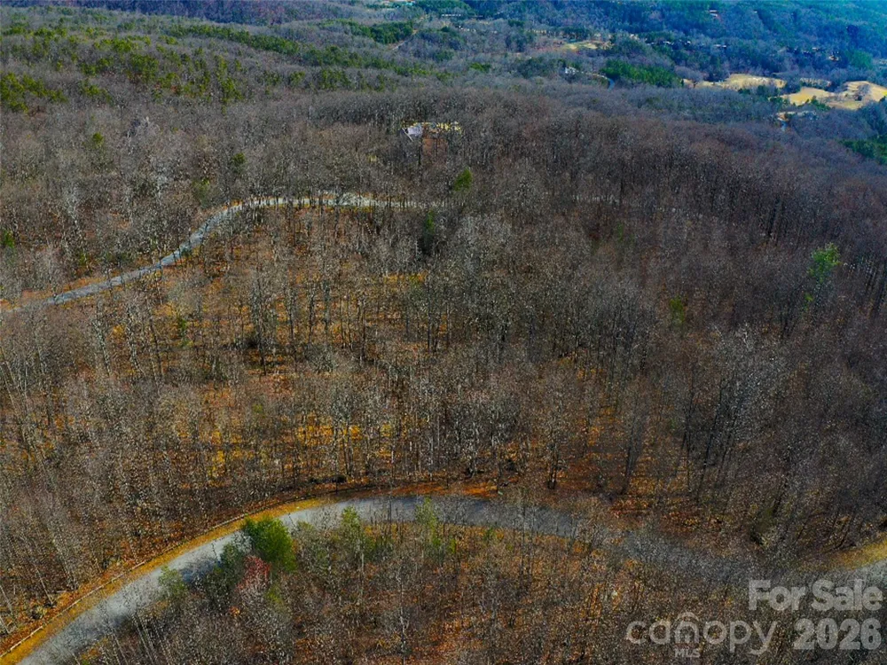 220 Chesterfield Drive Mill Spring, NC 28756