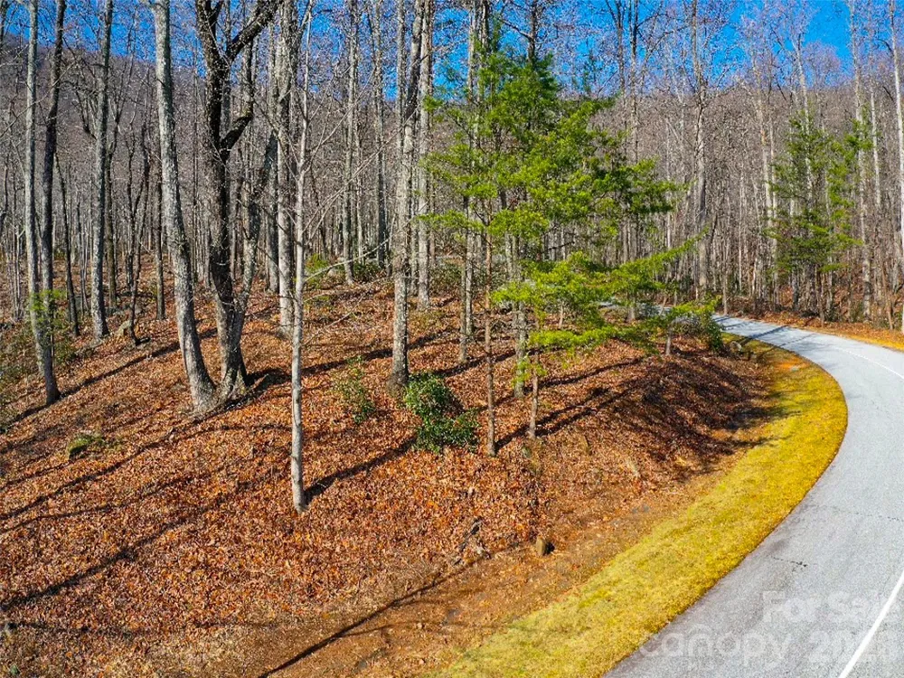 220 Chesterfield Drive Mill Spring, NC 28756