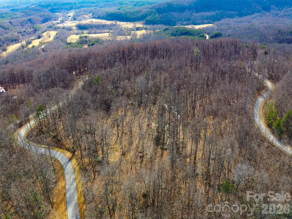 220 Chesterfield Drive Mill Spring, NC 28756