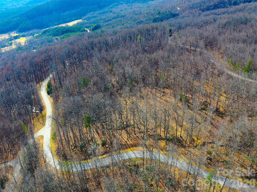 220 Chesterfield Drive Mill Spring, NC 28756