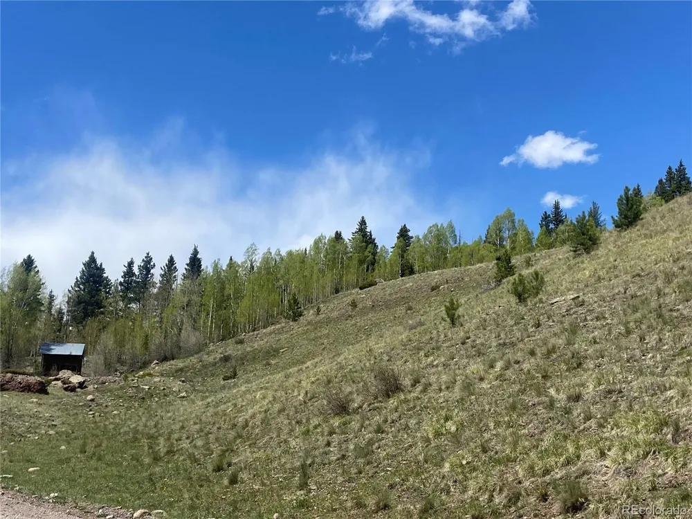 TBD FSR 250 Antonito, CO 81120