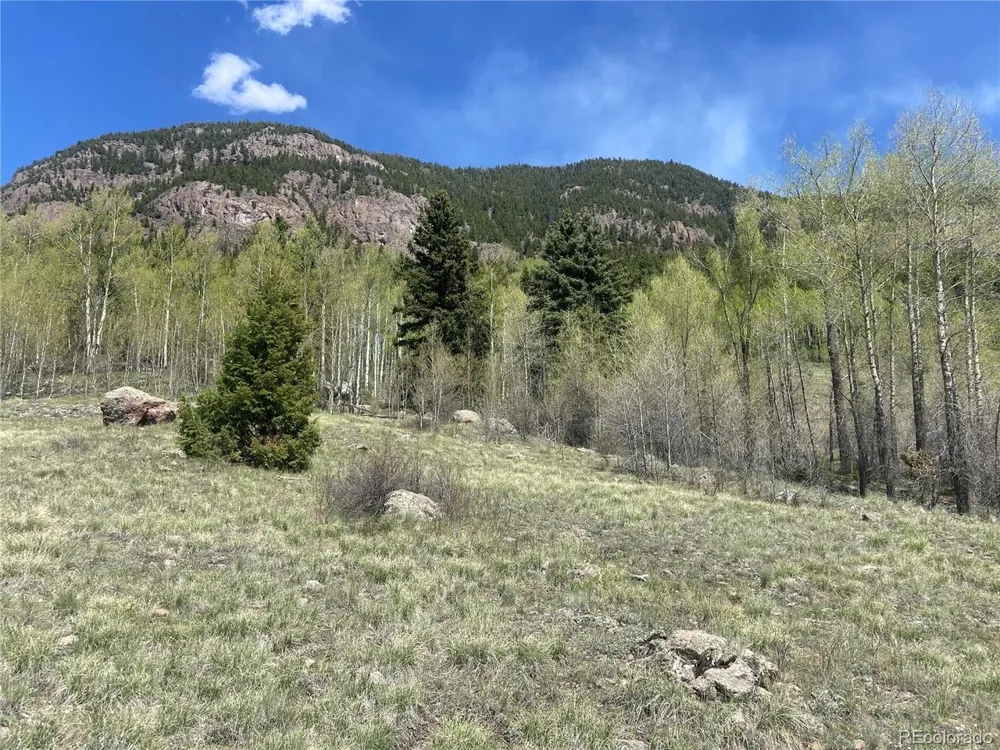 TBD FSR 250 Antonito, CO 81120
