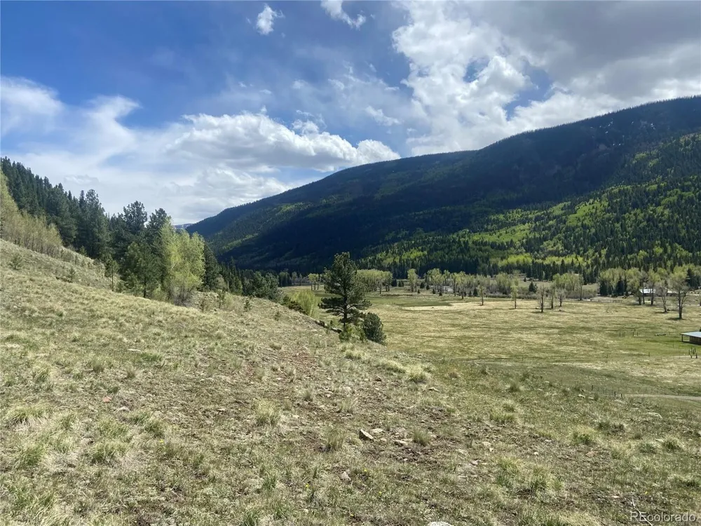 TBD FSR 250 Antonito, CO 81120