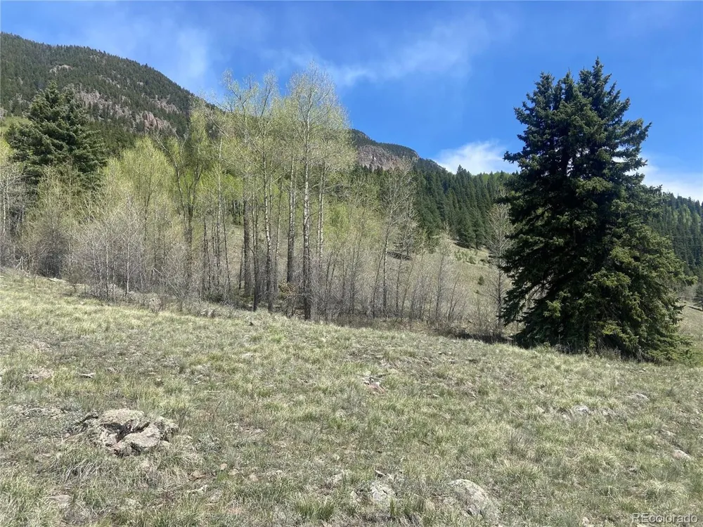 TBD FSR 250 Antonito, CO 81120