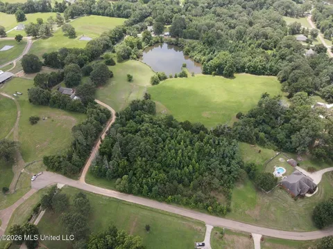 1321 Purvis Lane
