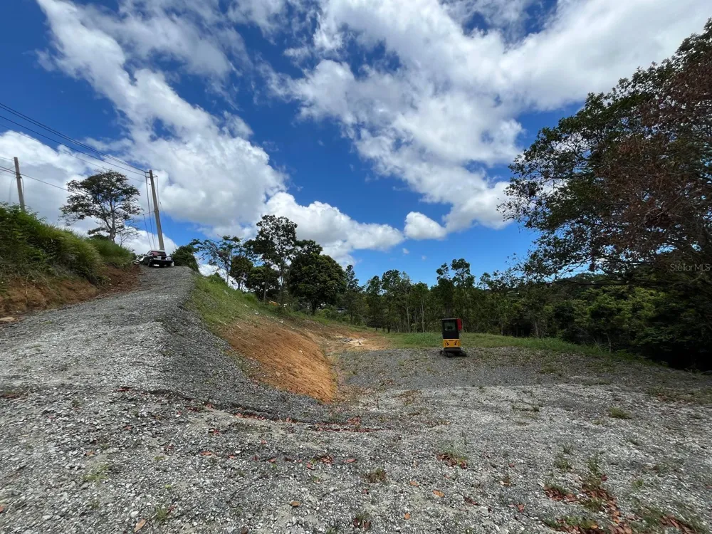 LOT 5 KM 2.5 CARRETERA 856 Carolina, PR 00987