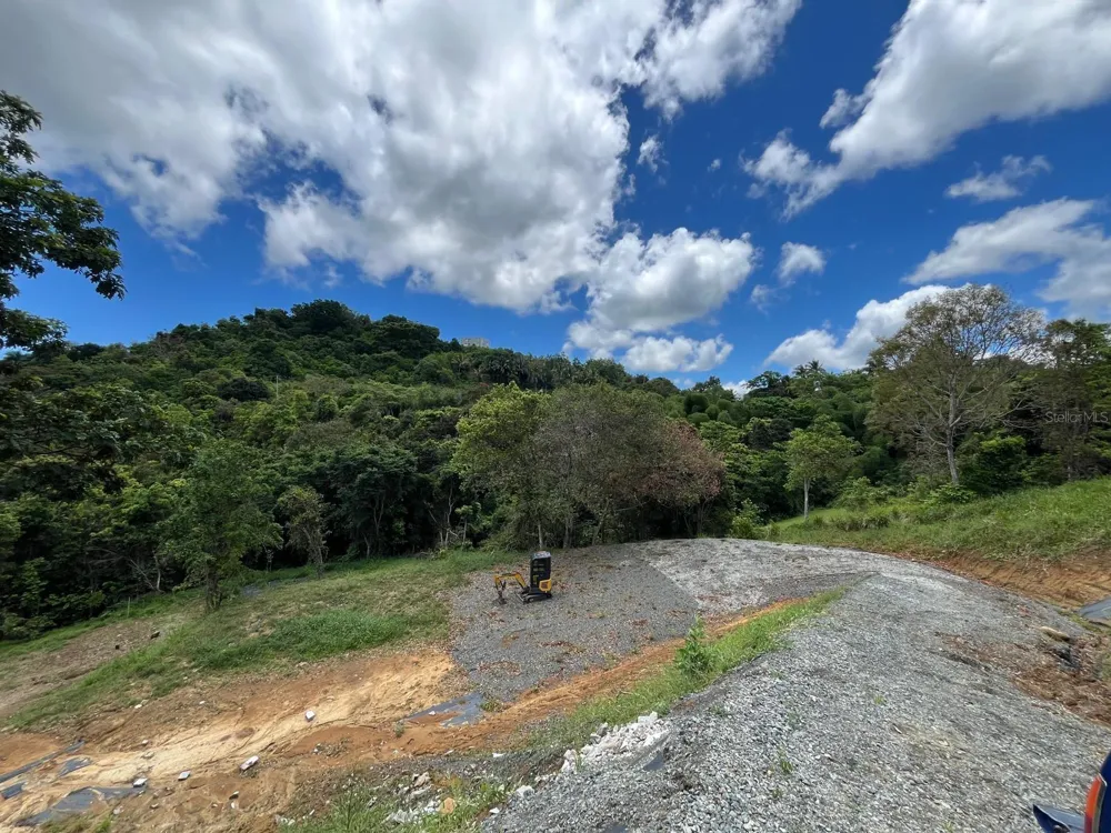 LOT 5 KM 2.5 CARRETERA 856 Carolina, PR 00987