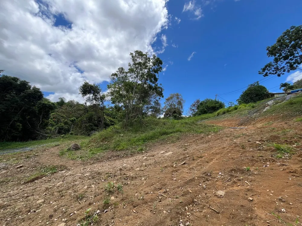 LOT 5 KM 2.5 CARRETERA 856 Carolina, PR 00987