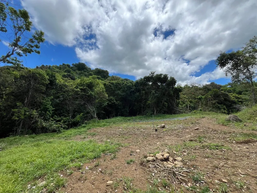 LOT 5 KM 2.5 CARRETERA 856 Carolina, PR 00987