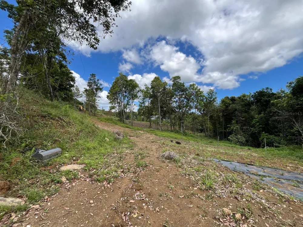 LOT 5 KM 2.5 CARRETERA 856 Carolina, PR 00987