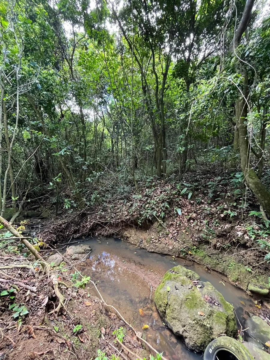 LOT 5 KM 2.5 CARRETERA 856 Carolina, PR 00987