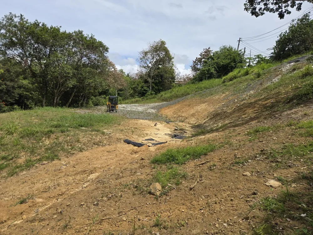 LOT 5 KM 2.5 CARRETERA 856 Carolina, PR 00987