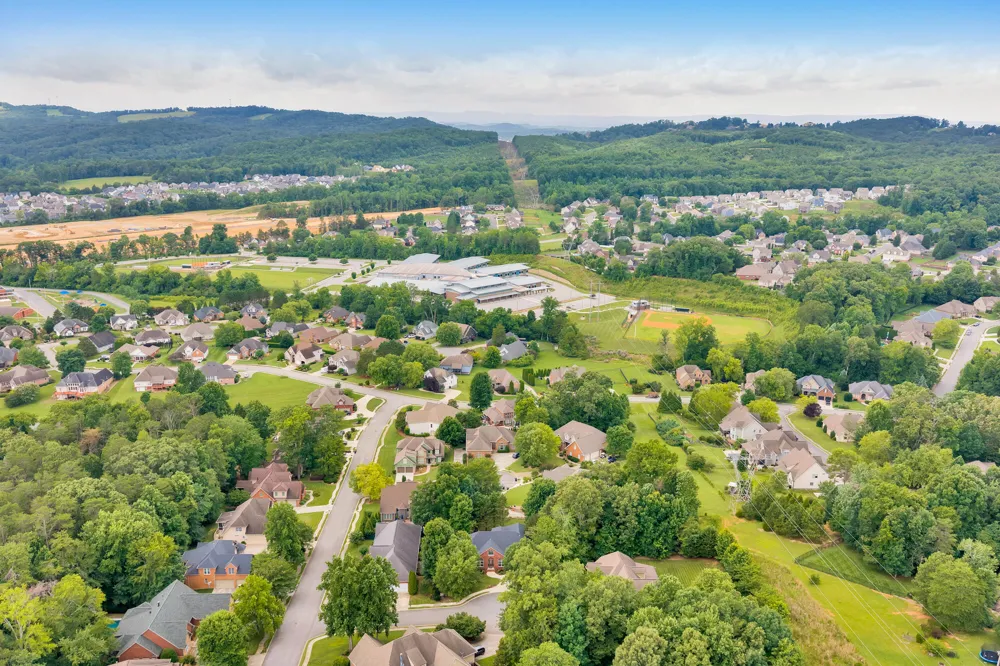 9237 Leaf Brook Lane Apison, TN 37302
