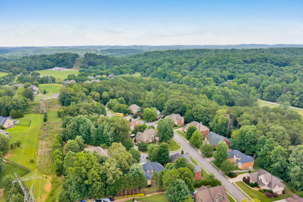 9237 Leaf Brook Lane Apison, TN 37302