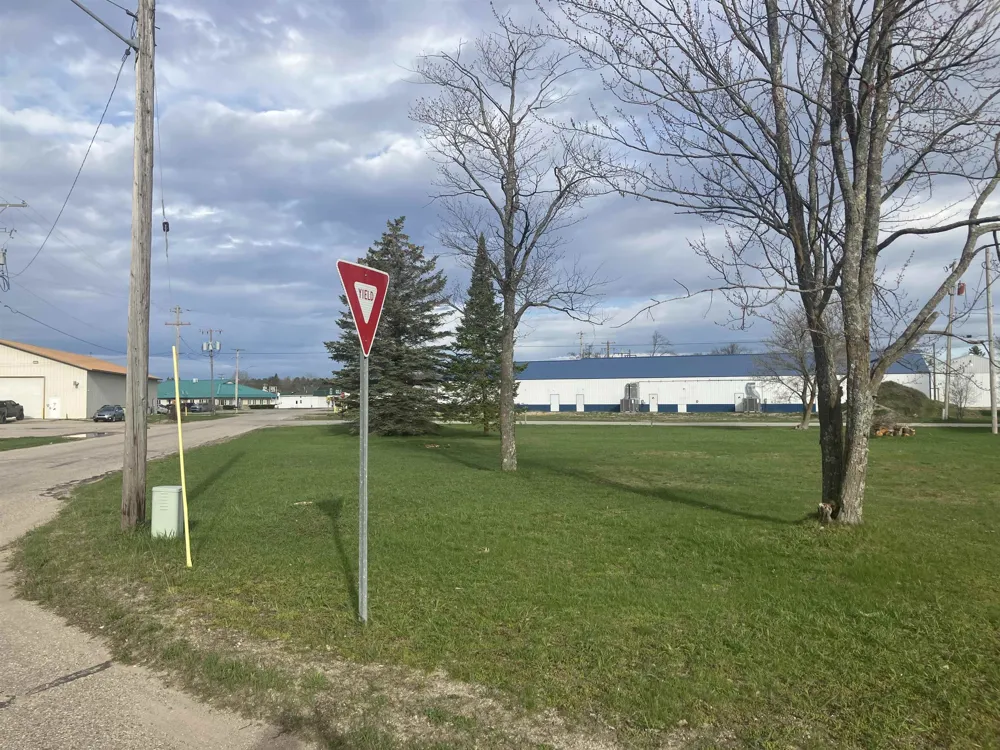 213 Hyde Street Kalkaska Township, MI 49646