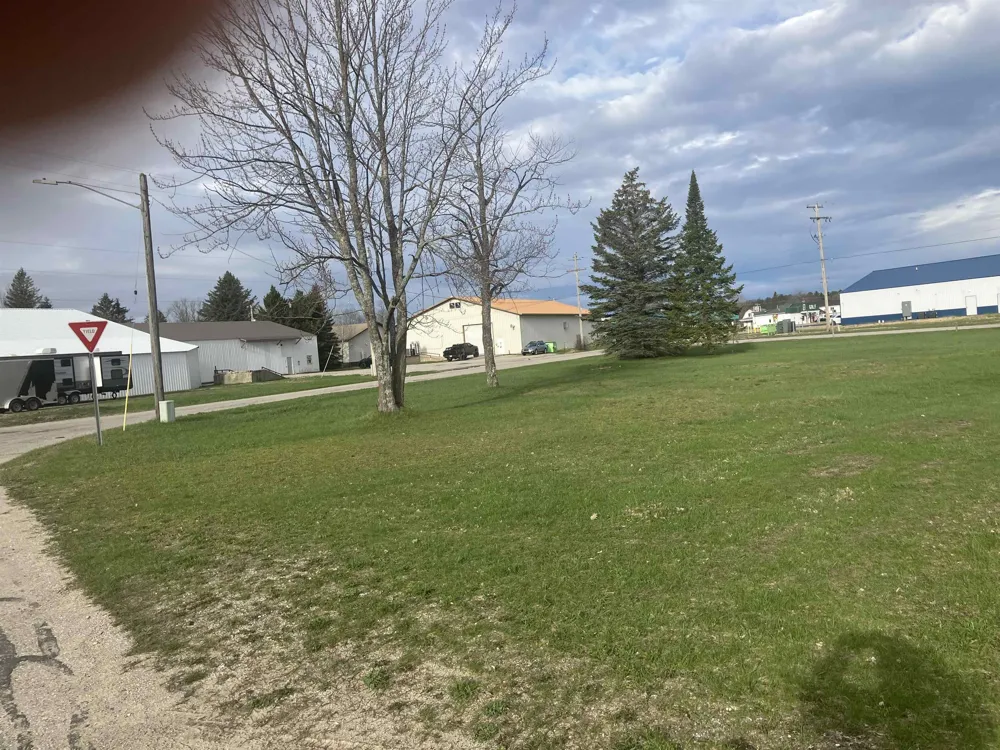 213 Hyde Street Kalkaska Township, MI 49646