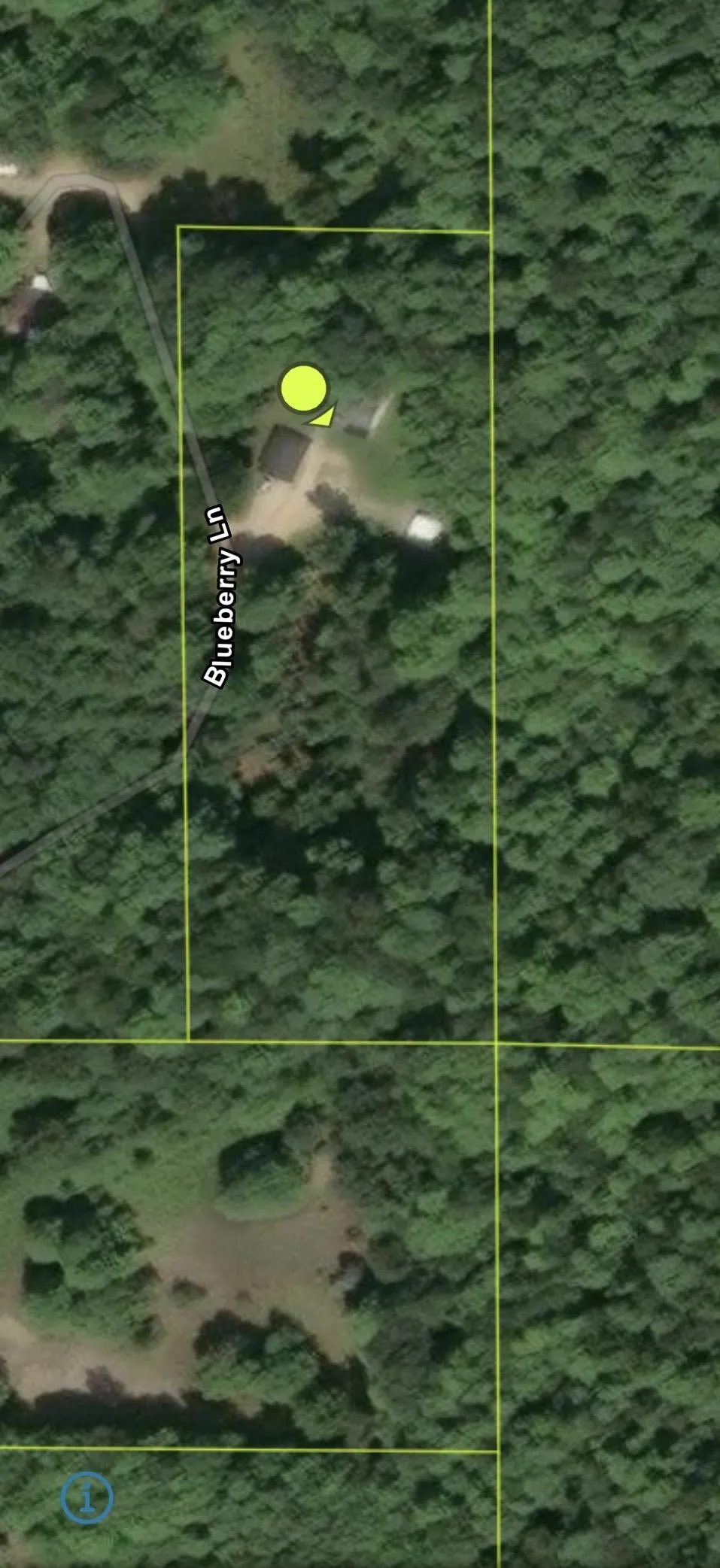 3865 Blueberry Lane Homestead Township, MI 49640