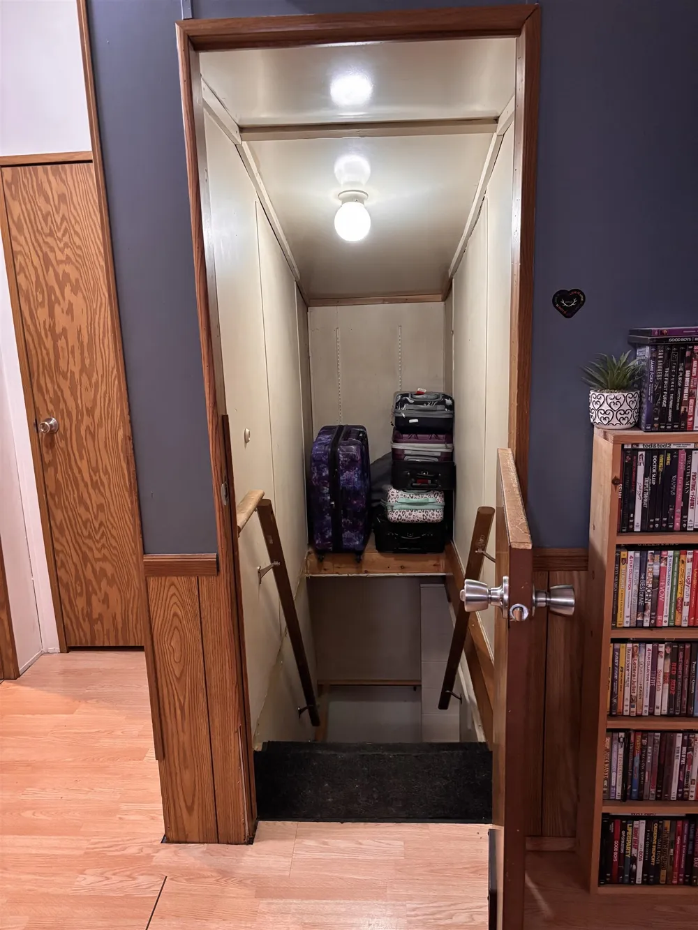 3865 Blueberry Lane Homestead Township, MI 49640