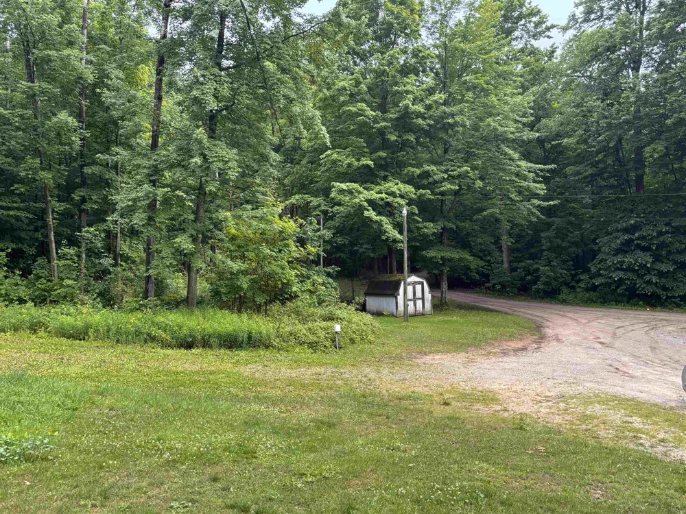 3865 Blueberry Lane Homestead Township, MI 49640