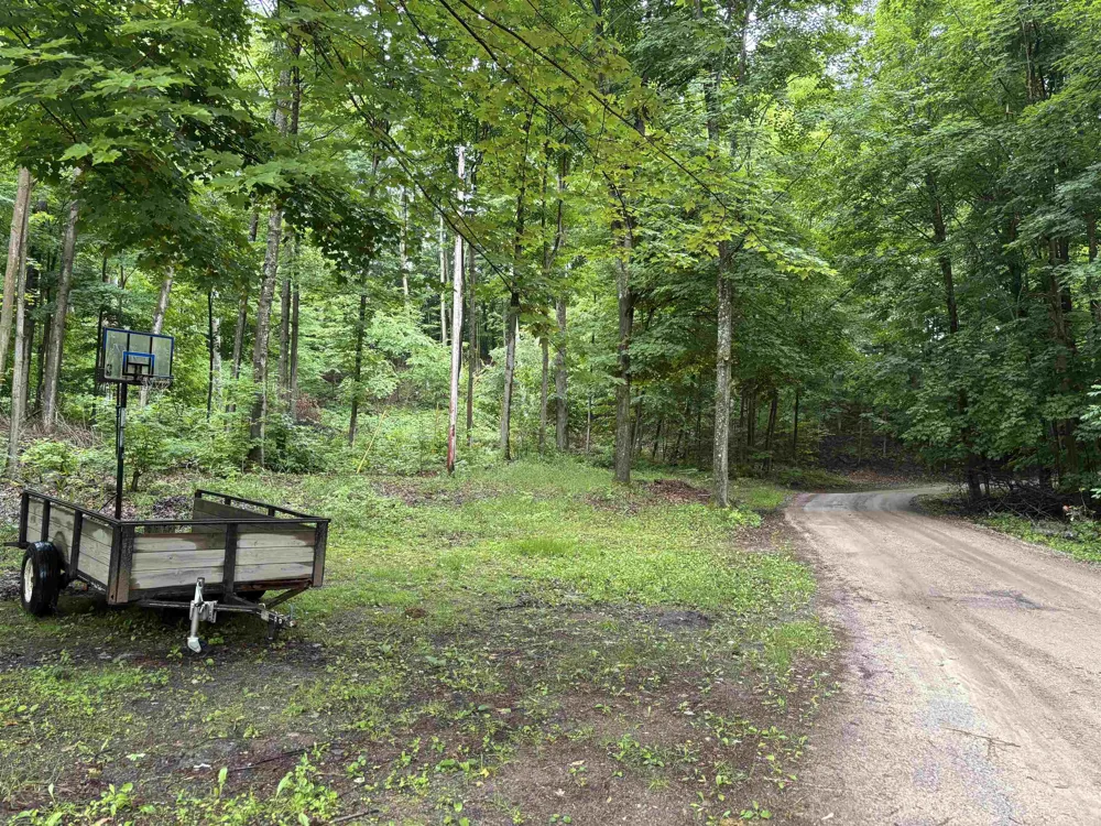 3865 Blueberry Lane Homestead Township, MI 49640