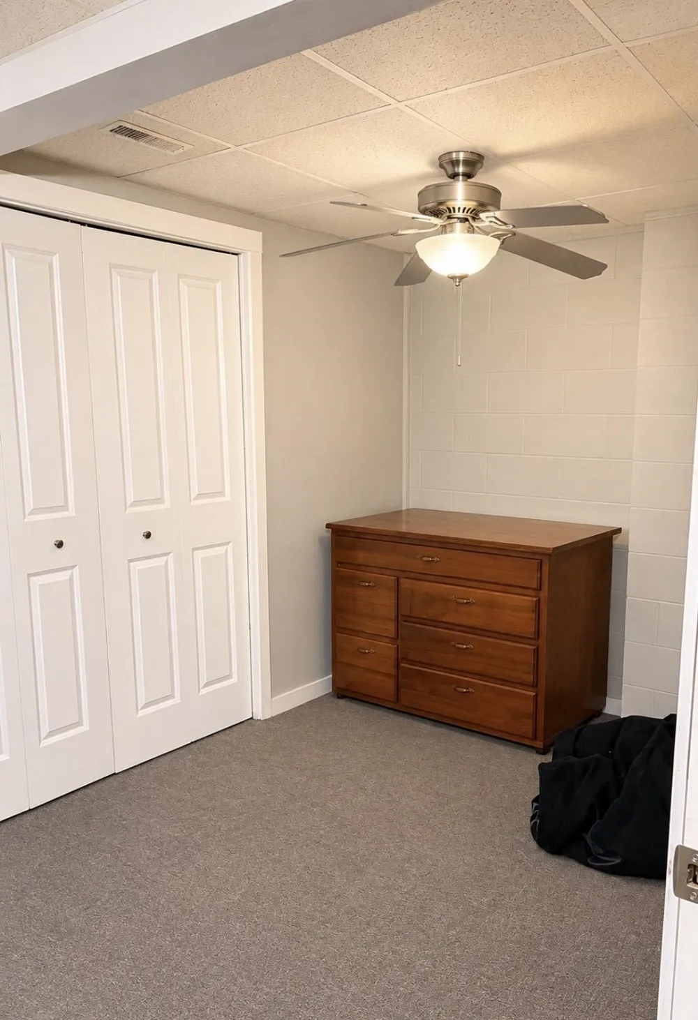 3865 Blueberry Lane Homestead Township, MI 49640