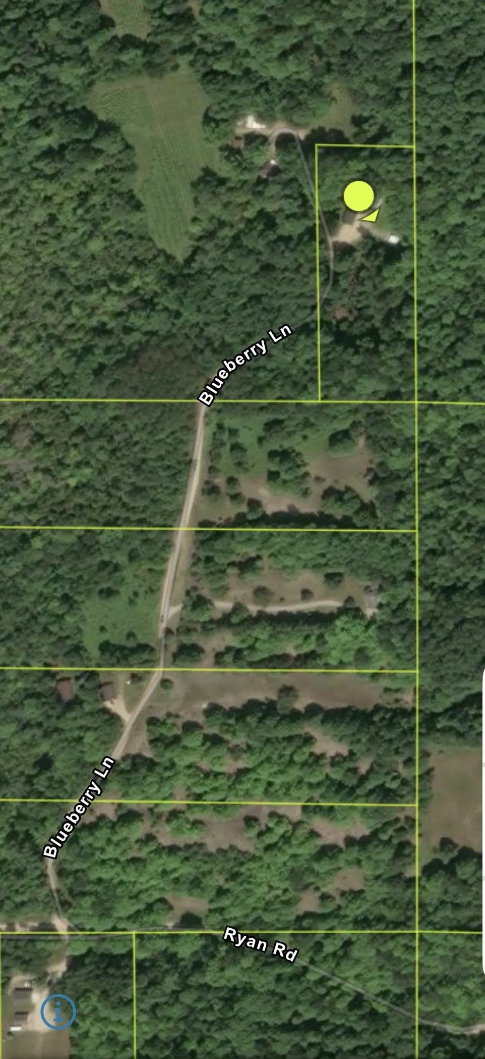 3865 Blueberry Lane Homestead Township, MI 49640