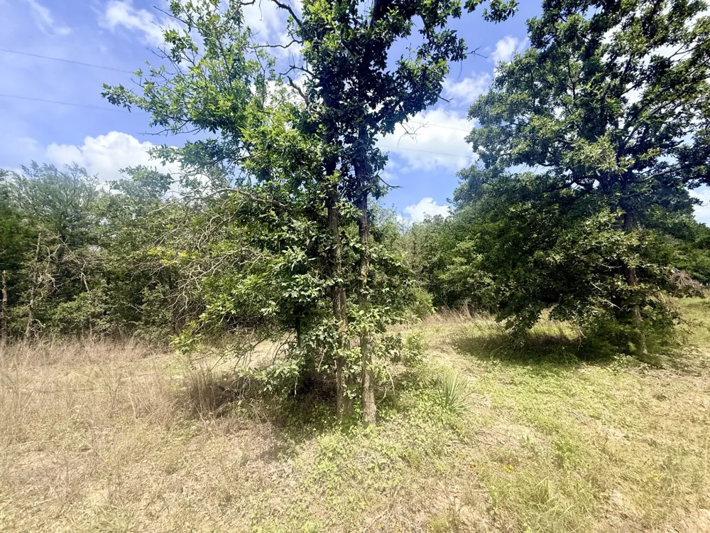 County Road 337 Lexington, TX 78947