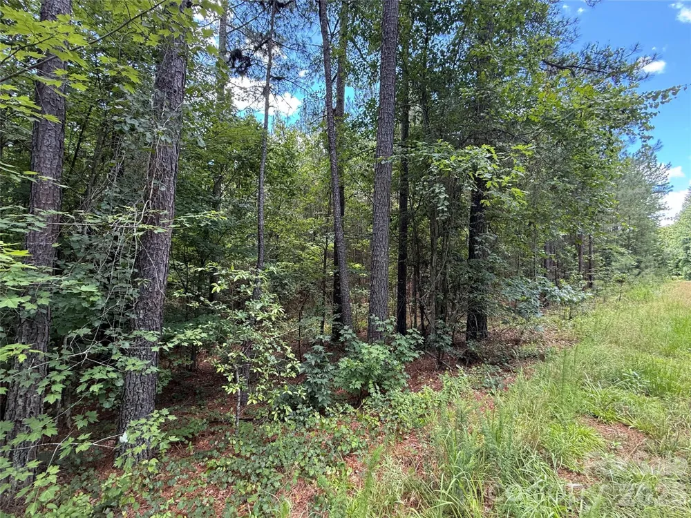 9999 Clark Road Rutherfordton, NC 28139