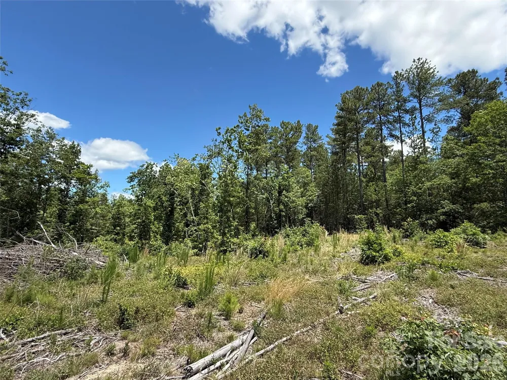 9999 Clark Road Rutherfordton, NC 28139