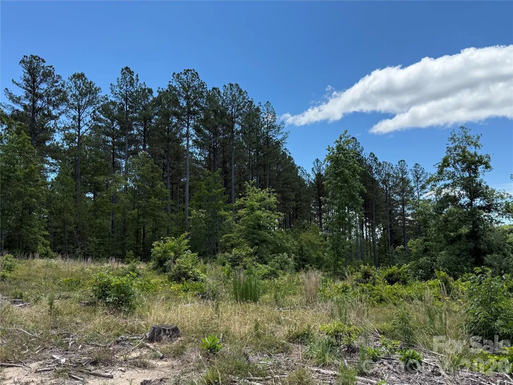 9999 Clark Road Rutherfordton, NC 28139