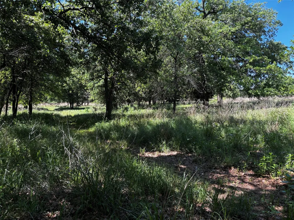 Sandpiper Drive Weatherford, TX 76088