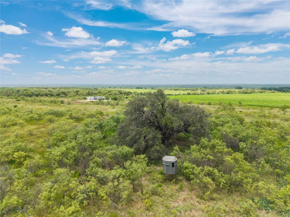 1050 County Road 258 Santa Anna, TX 76878
