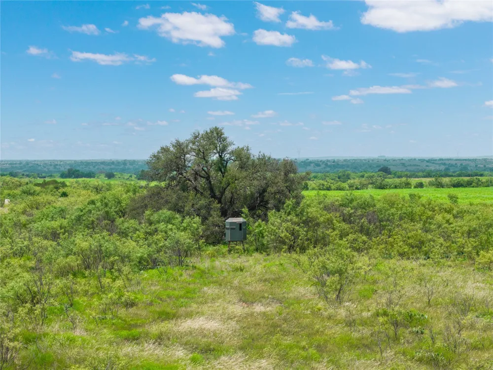 1050 County Road 258 Santa Anna, TX 76878