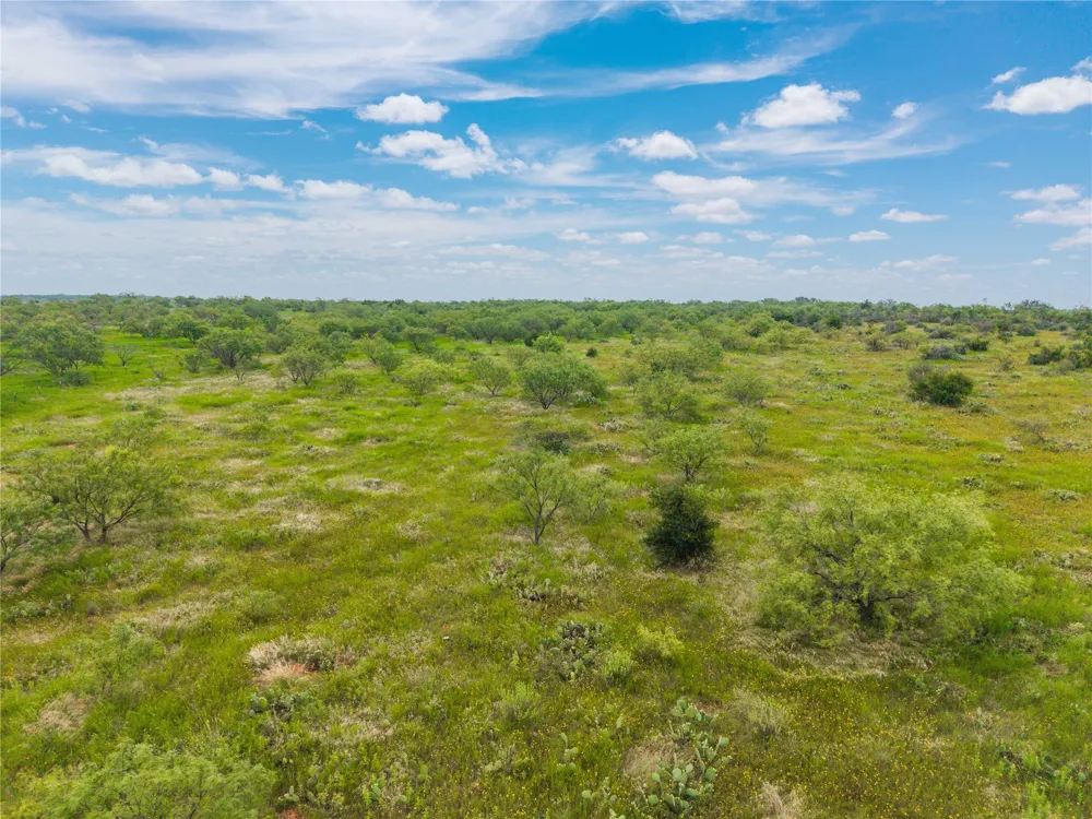 1050 County Road 258 Santa Anna, TX 76878