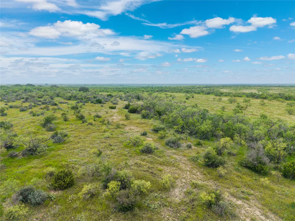 1050 County Road 258 Santa Anna, TX 76878