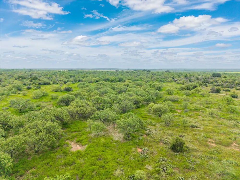 1050 County Road 258 Santa Anna, TX 76878