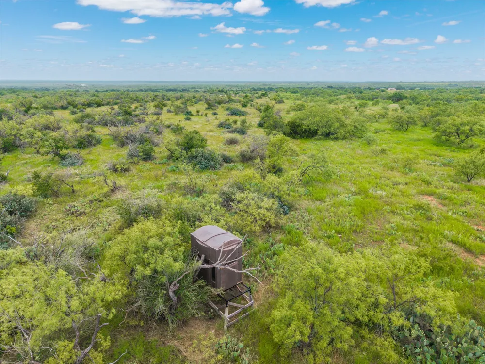 1050 County Road 258 Santa Anna, TX 76878