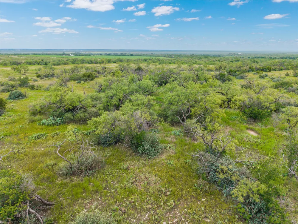 1050 County Road 258 Santa Anna, TX 76878