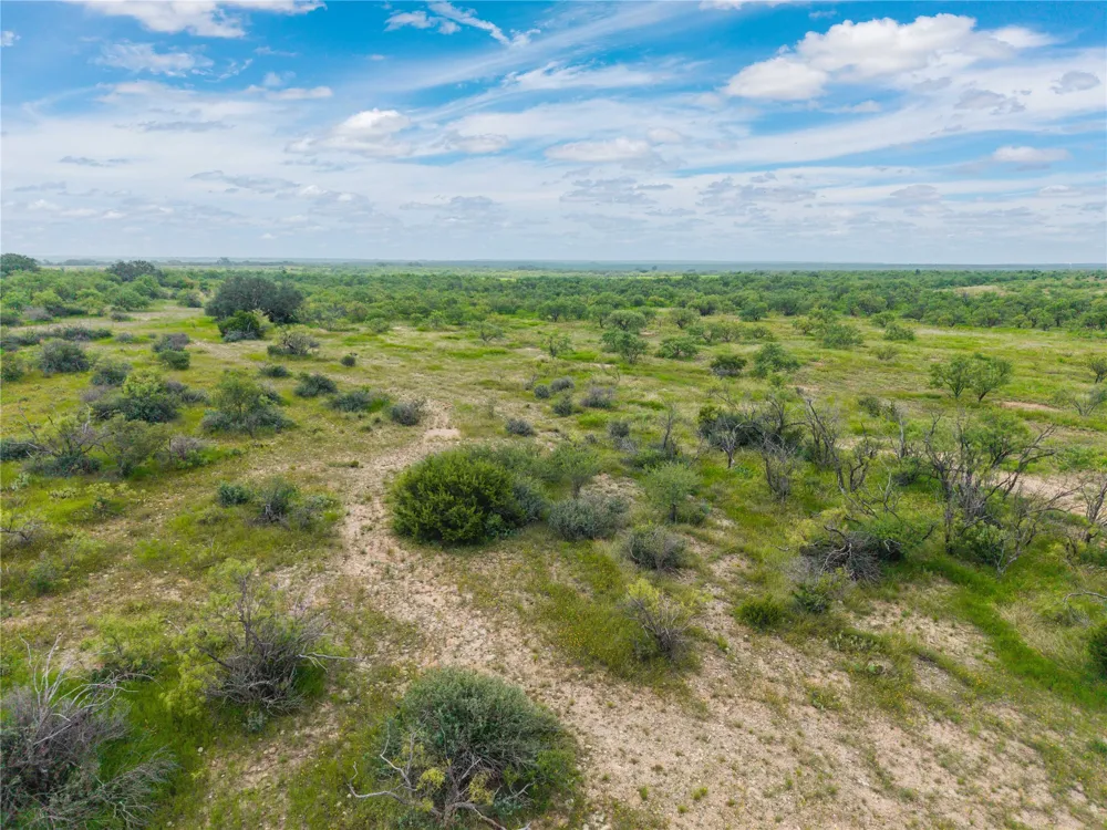 1050 County Road 258 Santa Anna, TX 76878