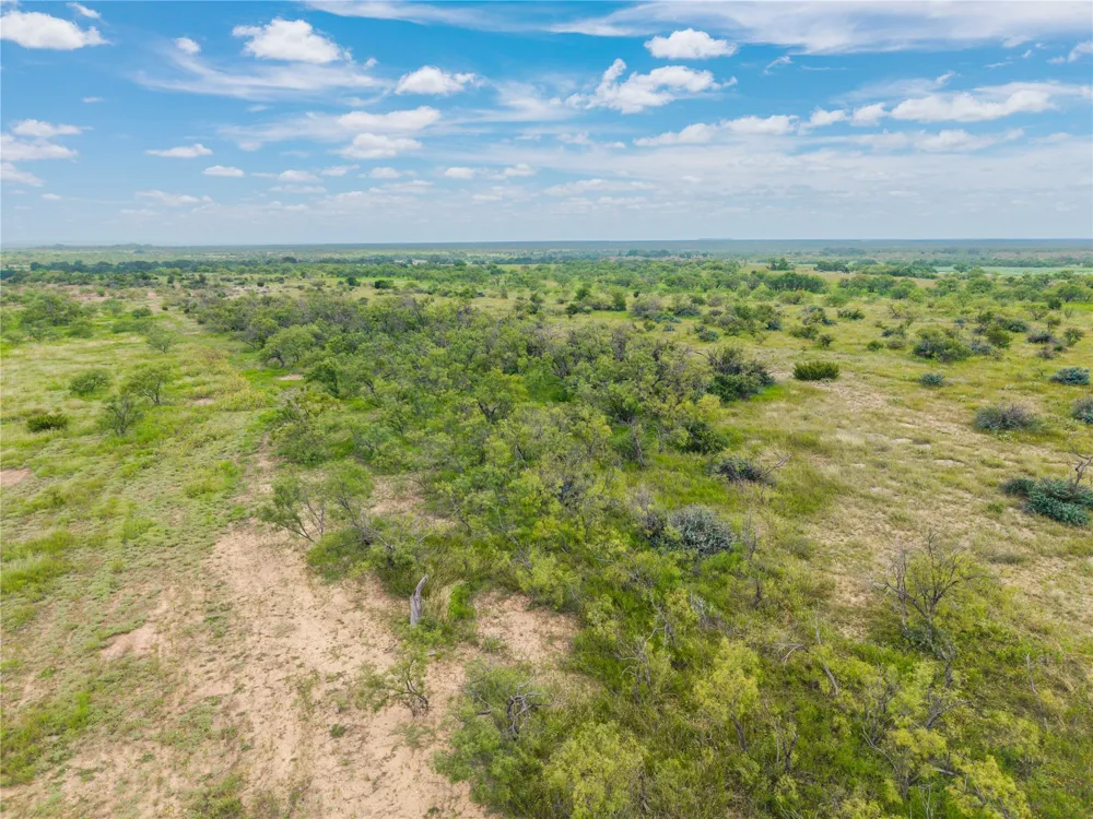 1050 County Road 258 Santa Anna, TX 76878