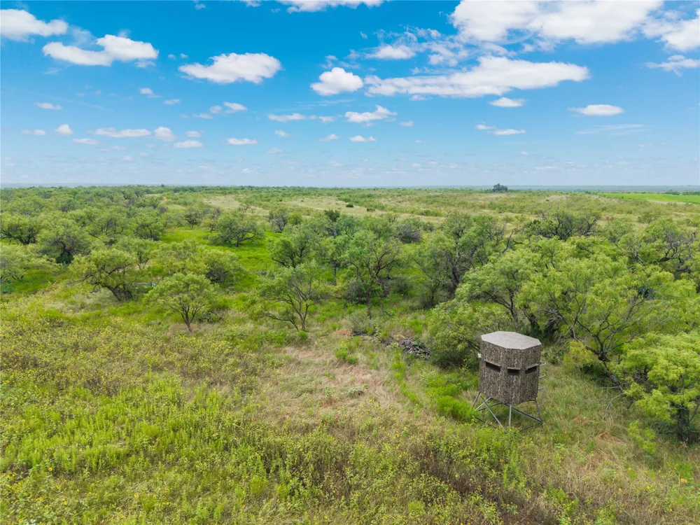 1050 County Road 258 Santa Anna, TX 76878
