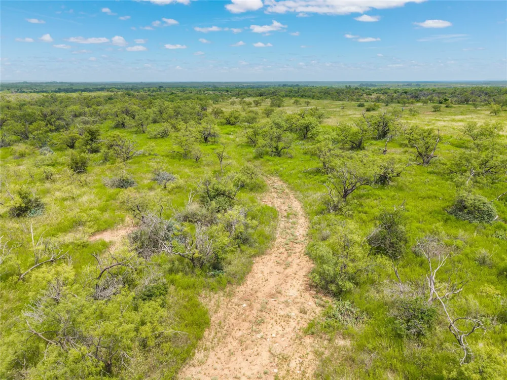 1050 County Road 258 Santa Anna, TX 76878