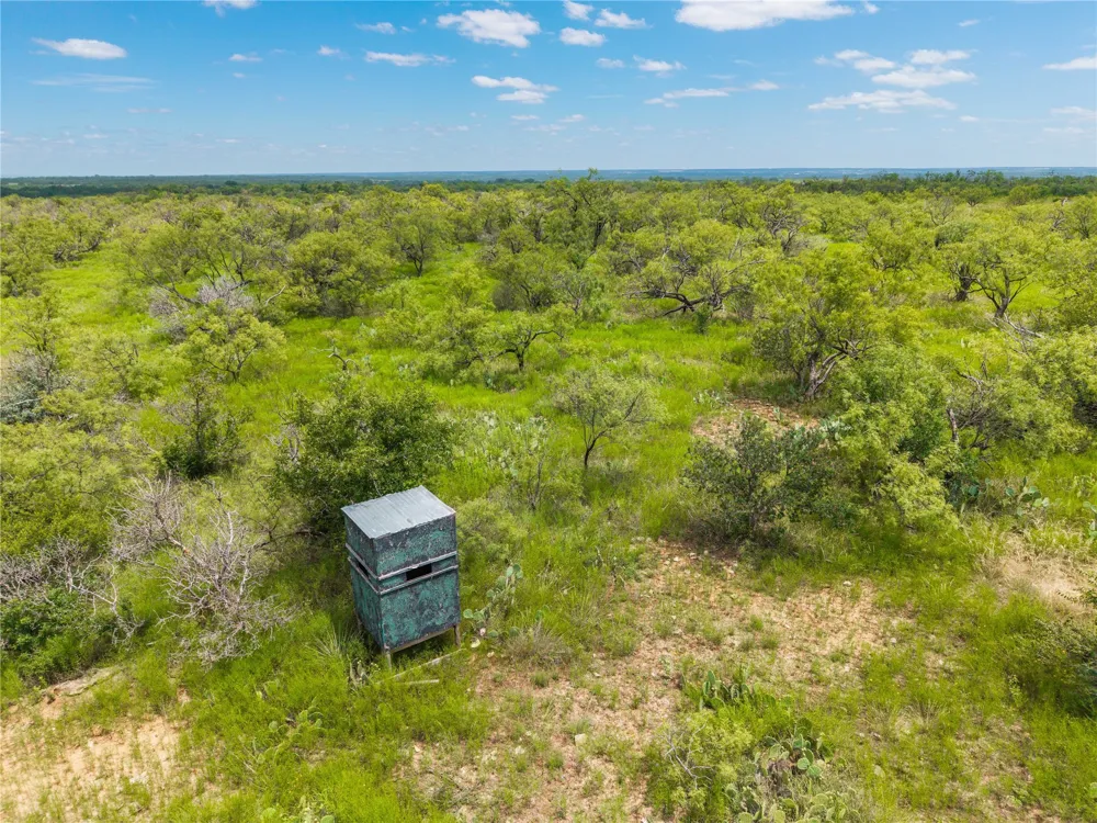 1050 County Road 258 Santa Anna, TX 76878