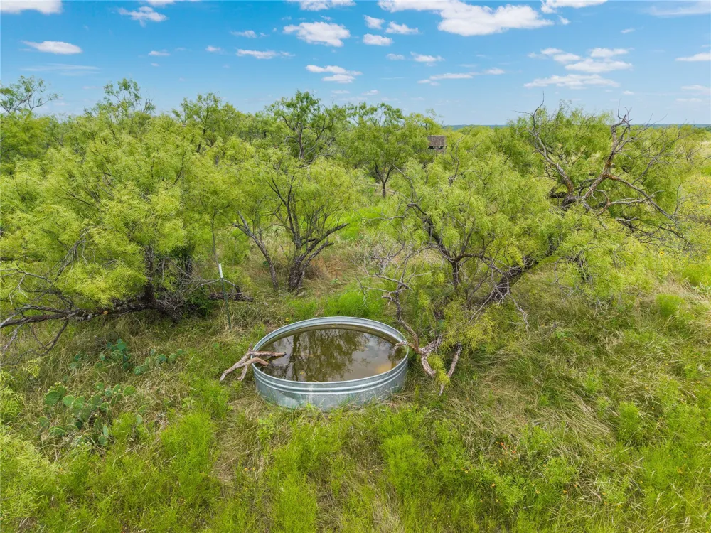 1050 County Road 258 Santa Anna, TX 76878