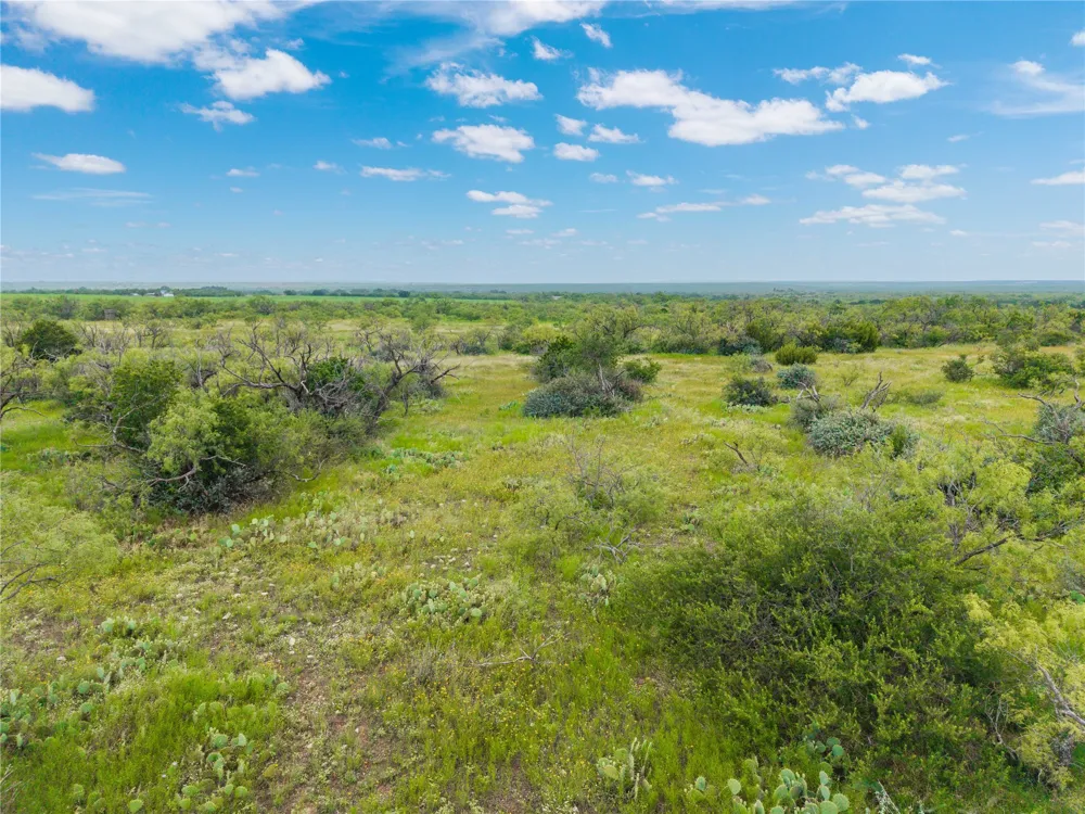 1050 County Road 258 Santa Anna, TX 76878