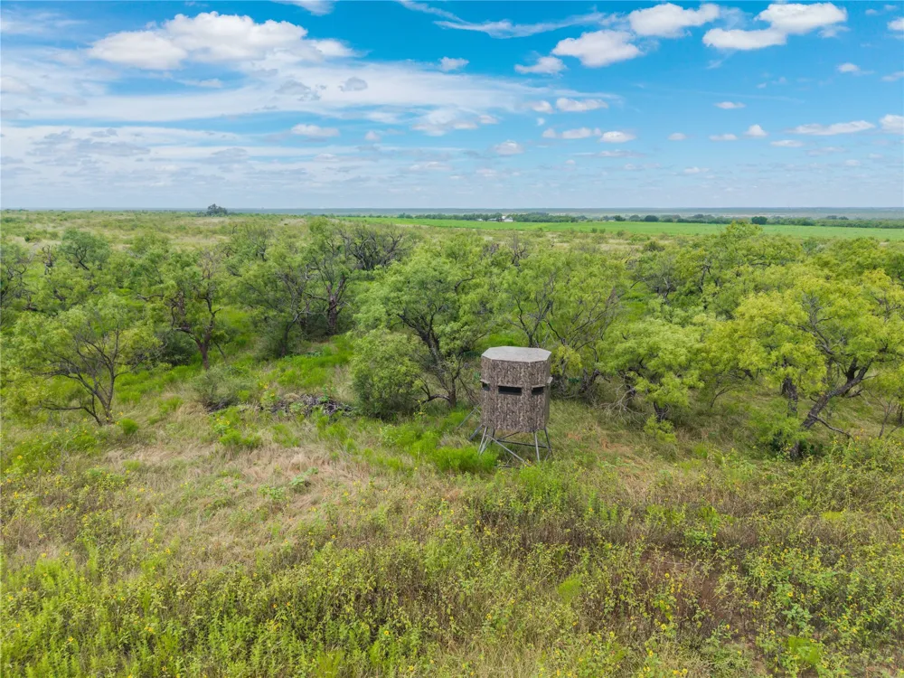 1050 County Road 258 Santa Anna, TX 76878